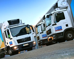 Refrigerated Transport Suppliers